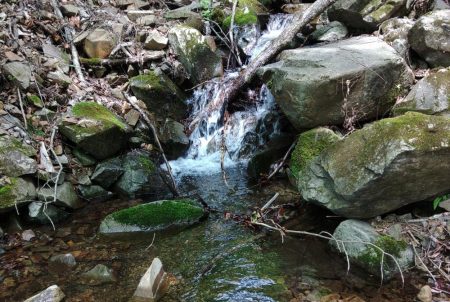接近戦のイワナ釣り ～長良川水系～